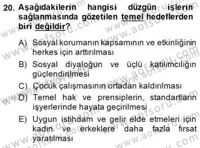 Sosyal Politika 1 Dersi 2014 - 2015 Yılı (Final) Dönem Sonu Sınav Soruları 20. Soru