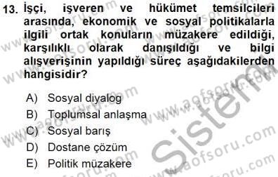 Sosyal Politika 1 Dersi 2015 - 2016 Yılı (Final) Dönem Sonu Sınav Soruları 13. Soru