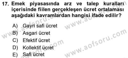 Sosyal Politika 1 Dersi 2019 - 2020 Yılı (Final) Dönem Sonu Sınav Soruları 17. Soru