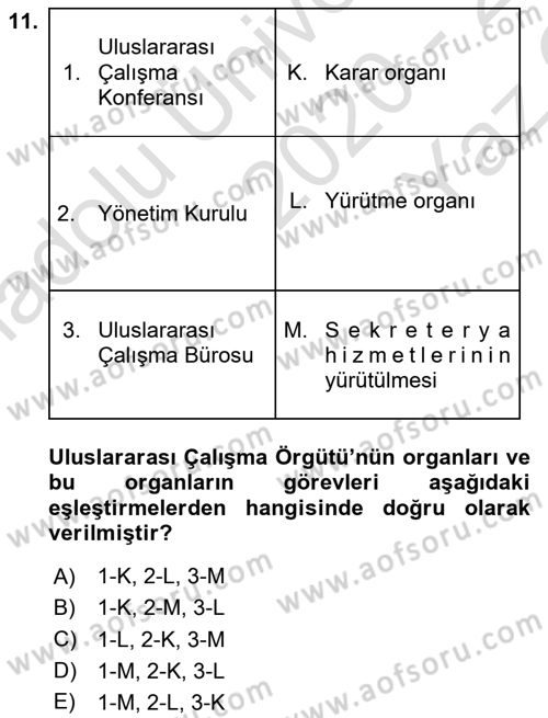Sosyal Politika 1 Dersi 2020 - 2021 Yılı Yaz Okulu Sınav Soruları 11. Soru