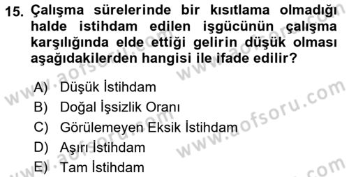 Sosyal Politika 1 Dersi 2020 - 2021 Yılı Yaz Okulu Sınav Soruları 15. Soru