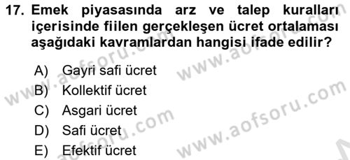 Sosyal Politika 1 Dersi 2020 - 2021 Yılı Yaz Okulu Sınav Soruları 17. Soru