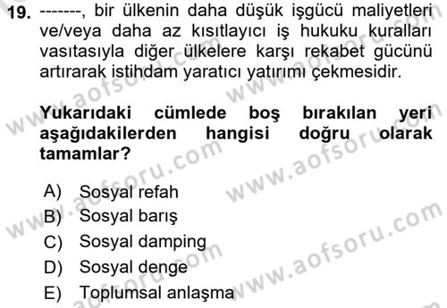 Sosyal Politika 1 Dersi 2020 - 2021 Yılı Yaz Okulu Sınav Soruları 19. Soru
