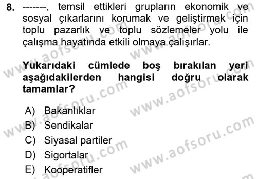 Sosyal Politika 1 Dersi 2020 - 2021 Yılı Yaz Okulu Sınav Soruları 8. Soru