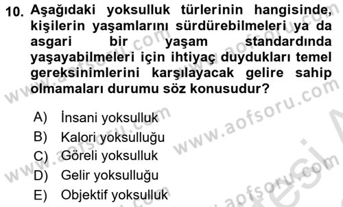 Sosyal Politika 1 Dersi 2021 - 2022 Yılı Yaz Okulu Sınav Soruları 10. Soru