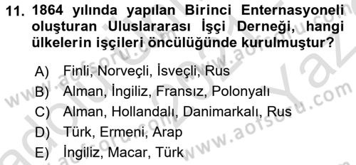 Sosyal Politika 1 Dersi 2021 - 2022 Yılı Yaz Okulu Sınav Soruları 11. Soru