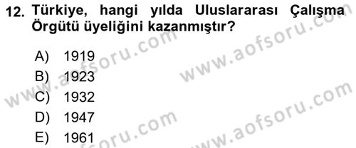 Sosyal Politika 1 Dersi 2021 - 2022 Yılı Yaz Okulu Sınav Soruları 12. Soru