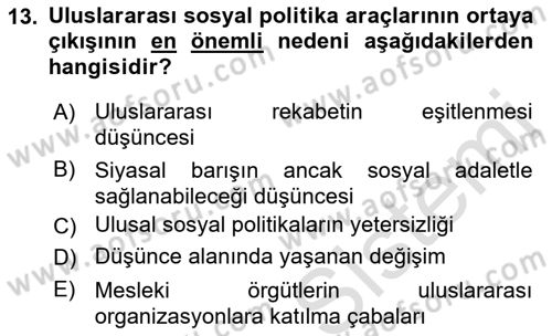 Sosyal Politika 1 Dersi 2021 - 2022 Yılı Yaz Okulu Sınav Soruları 13. Soru