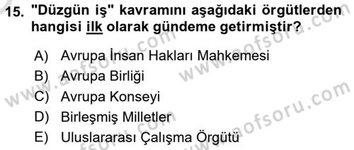 Sosyal Politika 1 Dersi 2021 - 2022 Yılı Yaz Okulu Sınav Soruları 15. Soru