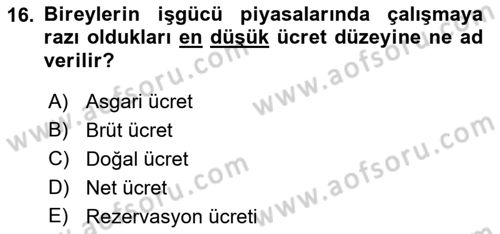Sosyal Politika 1 Dersi 2021 - 2022 Yılı Yaz Okulu Sınav Soruları 16. Soru