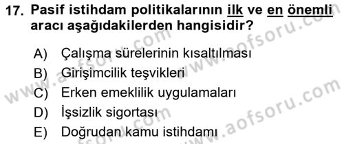 Sosyal Politika 1 Dersi 2021 - 2022 Yılı Yaz Okulu Sınav Soruları 17. Soru