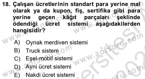 Sosyal Politika 1 Dersi 2021 - 2022 Yılı Yaz Okulu Sınav Soruları 18. Soru
