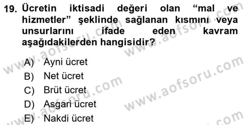 Sosyal Politika 1 Dersi 2021 - 2022 Yılı Yaz Okulu Sınav Soruları 19. Soru