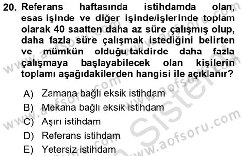 Sosyal Politika 1 Dersi 2021 - 2022 Yılı Yaz Okulu Sınav Soruları 20. Soru