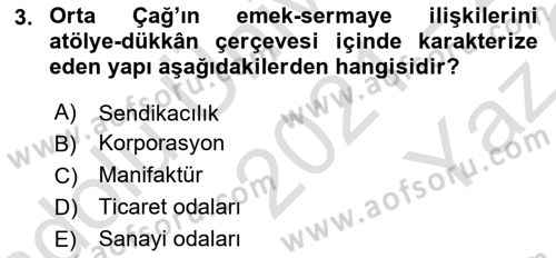 Sosyal Politika 1 Dersi 2021 - 2022 Yılı Yaz Okulu Sınav Soruları 3. Soru