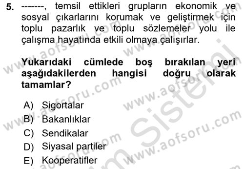 Sosyal Politika 1 Dersi 2021 - 2022 Yılı Yaz Okulu Sınav Soruları 5. Soru