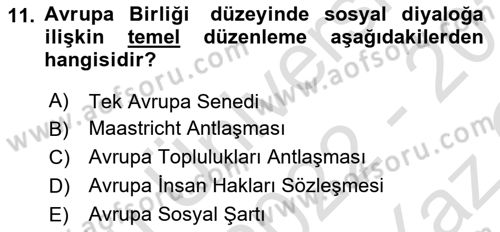 Sosyal Politika 1 Dersi 2022 - 2023 Yılı Yaz Okulu Sınav Soruları 11. Soru