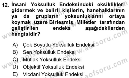 Sosyal Politika 1 Dersi 2022 - 2023 Yılı Yaz Okulu Sınav Soruları 12. Soru