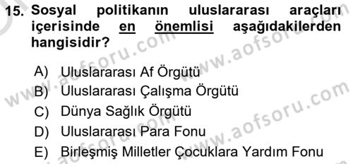 Sosyal Politika 1 Dersi 2022 - 2023 Yılı Yaz Okulu Sınav Soruları 15. Soru