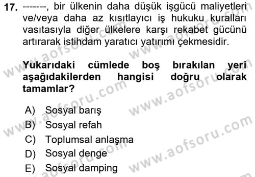 Sosyal Politika 1 Dersi 2022 - 2023 Yılı Yaz Okulu Sınav Soruları 17. Soru