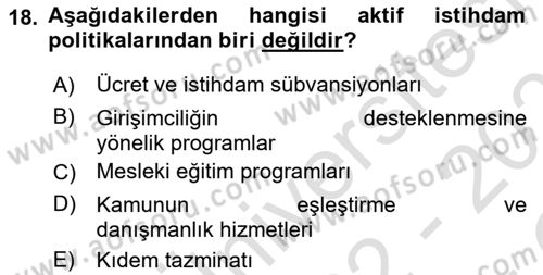Sosyal Politika 1 Dersi 2022 - 2023 Yılı Yaz Okulu Sınav Soruları 18. Soru