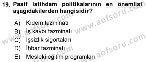 Sosyal Politika 1 Dersi 2022 - 2023 Yılı Yaz Okulu Sınav Soruları 19. Soru