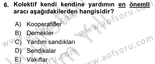 Sosyal Politika 1 Dersi 2022 - 2023 Yılı Yaz Okulu Sınav Soruları 6. Soru