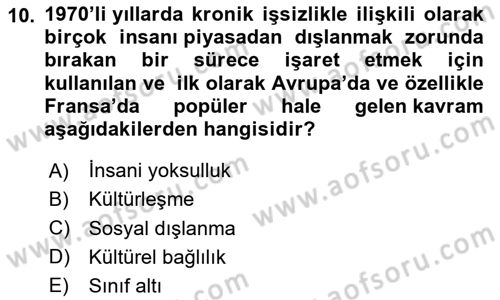 Sosyal Politika 1 Dersi 2023 - 2024 Yılı Yaz Okulu Sınav Soruları 10. Soru