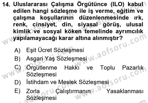 Sosyal Politika 1 Dersi 2023 - 2024 Yılı Yaz Okulu Sınav Soruları 14. Soru