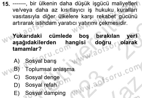 Sosyal Politika 1 Dersi 2023 - 2024 Yılı Yaz Okulu Sınav Soruları 15. Soru