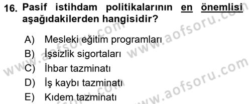 Sosyal Politika 1 Dersi 2023 - 2024 Yılı Yaz Okulu Sınav Soruları 16. Soru