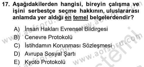 Sosyal Politika 1 Dersi 2023 - 2024 Yılı Yaz Okulu Sınav Soruları 17. Soru