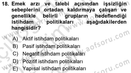 Sosyal Politika 1 Dersi 2023 - 2024 Yılı Yaz Okulu Sınav Soruları 18. Soru