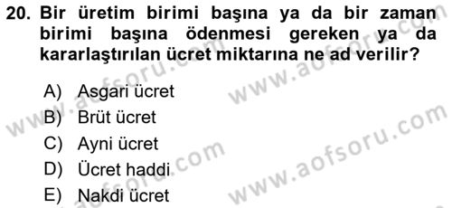 Sosyal Politika 1 Dersi 2023 - 2024 Yılı Yaz Okulu Sınav Soruları 20. Soru