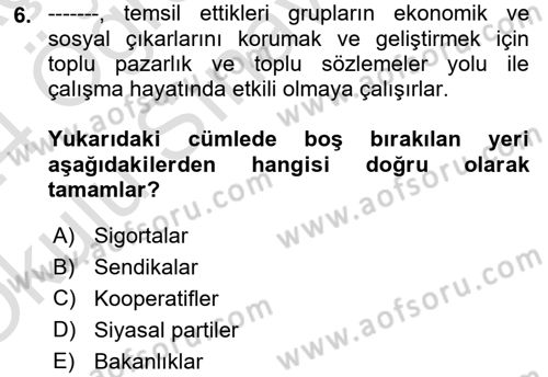 Sosyal Politika 1 Dersi 2023 - 2024 Yılı Yaz Okulu Sınav Soruları 6. Soru