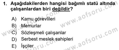 Sosyal Politika 1 Dersi 2024 - 2025 Yılı Yaz Okulu Sınav Soruları 1. Soru