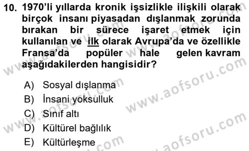 Sosyal Politika 1 Dersi 2024 - 2025 Yılı Yaz Okulu Sınav Soruları 10. Soru
