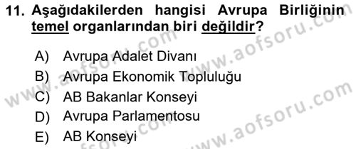 Sosyal Politika 1 Dersi 2024 - 2025 Yılı Yaz Okulu Sınav Soruları 11. Soru