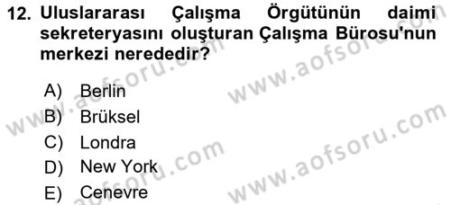 Sosyal Politika 1 Dersi 2024 - 2025 Yılı Yaz Okulu Sınav Soruları 12. Soru