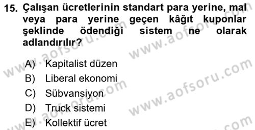 Sosyal Politika 1 Dersi 2024 - 2025 Yılı Yaz Okulu Sınav Soruları 15. Soru