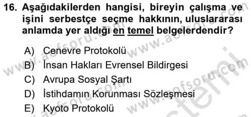 Sosyal Politika 1 Dersi 2024 - 2025 Yılı Yaz Okulu Sınav Soruları 16. Soru