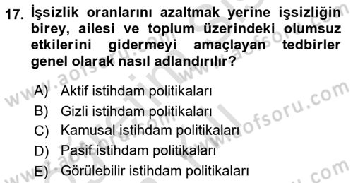 Sosyal Politika 1 Dersi 2024 - 2025 Yılı Yaz Okulu Sınav Soruları 17. Soru