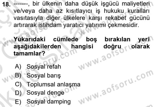 Sosyal Politika 1 Dersi 2024 - 2025 Yılı Yaz Okulu Sınav Soruları 18. Soru