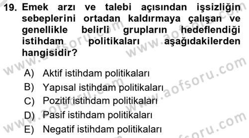 Sosyal Politika 1 Dersi 2024 - 2025 Yılı Yaz Okulu Sınav Soruları 19. Soru