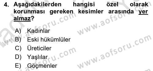 Sosyal Politika 1 Dersi 2024 - 2025 Yılı Yaz Okulu Sınav Soruları 4. Soru