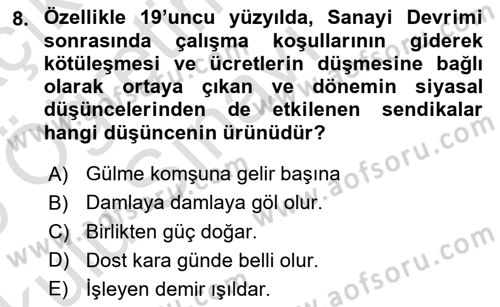 Sosyal Politika 1 Dersi 2024 - 2025 Yılı Yaz Okulu Sınav Soruları 8. Soru