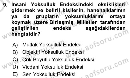 Sosyal Politika 1 Dersi 2024 - 2025 Yılı Yaz Okulu Sınav Soruları 9. Soru