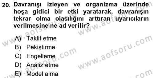 Sosyal Politika 1 Dersi 2025 - 2026 Yılı (Final) Dönem Sonu Sınav Soruları 20. Soru