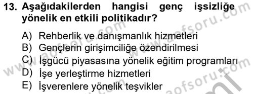 Sosyal Politika 2 Dersi 2012 - 2013 Yılı (Vize) Ara Sınav Soruları 13. Soru