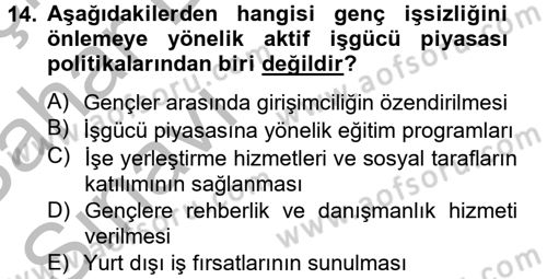 Sosyal Politika 2 Dersi 2012 - 2013 Yılı (Vize) Ara Sınav Soruları 14. Soru